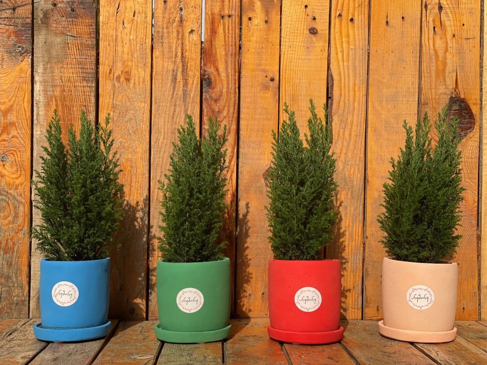 ადაპტერი IC AST001 White 9V-2A - gray