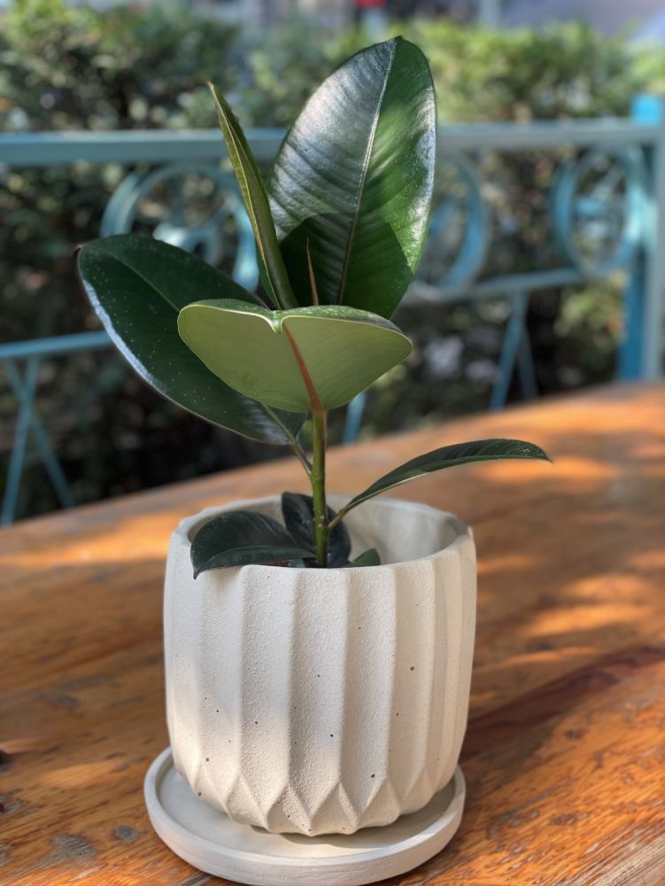 უსადენო პორტატული დინამიკი Yinew EG-E3 Blue - gray