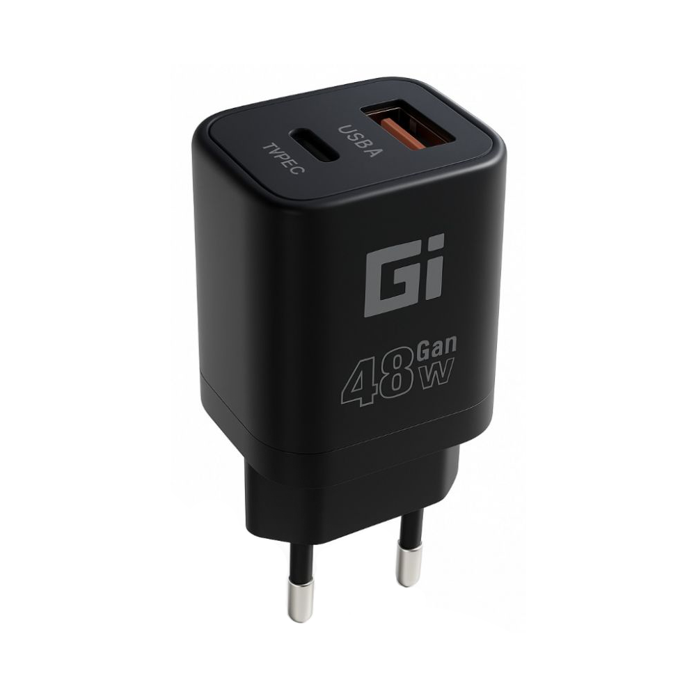 სწრაფ დამტენი/FAST CHARGER GI 48W